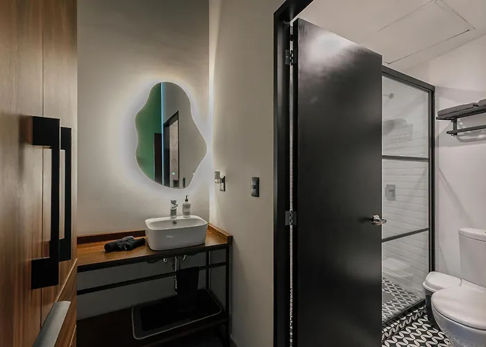 Mr Herold Homes Hostel Mexico City