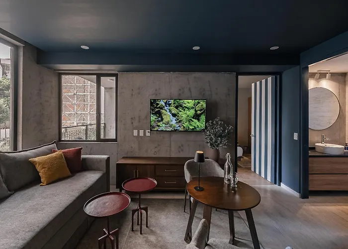 Mr Herold Homes Hostel Mexico City